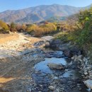 까치골가든 이미지