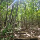 청송농협주왕산지점 | [경북청송] 주왕산(50/100) : 상의주차장 최단코스 경치좋은 주왕산 등린이 코스 100대 명산