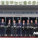 농협양주농산물유통센터 이미지