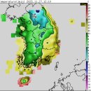 신안 교차로 ~ 해남터널 | 강원도 양구 화천 가평 춘천 홍천 첫눈 강원산지 대설주의보 CCTV 영상