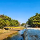 무창포해수욕장오토캠핑장 | 태안가볼만한곳 캠핑장이 많은 일몰맛집 몽산포해수욕장