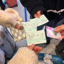 주식회사 브이피인터네셔널 | 1월말 삿포로 여행 1일차-신치토세 공항/오타루/ JR열차/ 르타오/ 스시/ 미피샵/ 메론/ 오타루 운하