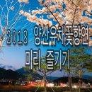 신기강변로 이미지