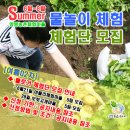 양평 물놀이체험 블로그 체험단 모집 [여름02차_양평농촌나드리]