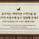 라이언의보물섬