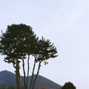 충일전장 | [NPKN Studio_Film] 04. 새로운 장비