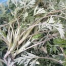 큰산농장 이미지