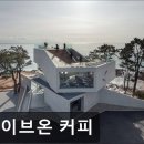 4667 | 부산 케이크 모음집 웨이브온 커피 부산 웨이브온 커피, 애견 동반 가능