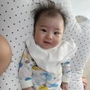 충주 아기 돌사진추천 / 봄이오다 스튜디오