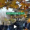 제주본가(本家) 이미지