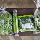 금산햇빛촌 이미지