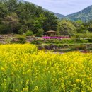 남해-137 이미지