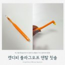 고양이 칫솔 추천 고양이 구내염 초기 관리로 선택한 캣디피 플라그오프 덴탈 칫솔 후기