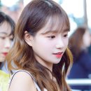 율 이미지