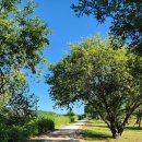 진평왕릉 화장실 이미지