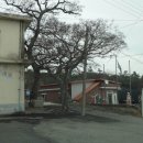 어은1구경로당 네이버블로그