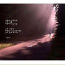 조은날 Daum카페