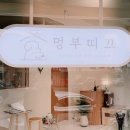 애견부티크 이미지