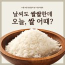 [이벤트] 날씨도 쌀쌀한데 오늘, 쌀 어때? ㅣ 댓글 사연 이벤트