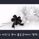 성명서 - 백남기 어르신 부디 좋은곳에서 영면하소서 [더권당 일동] 이미지