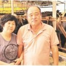 애축목장 축산신문