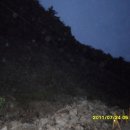 용소농장 이미지