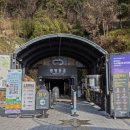 광명동굴 이미지