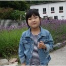 고씨동굴펜션 이미지