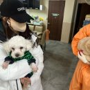 세영케미칼 Daum카페