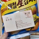 보리카우 이미지