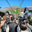Bee HOTEL | 호수, 카페라루슈, 모쿠아미노 모리, 유노츠보 거리 먹거리, 아마미차야 가정식 맛집, 운영시간 후기