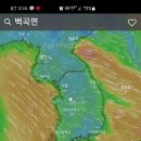 지니라뜨