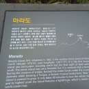 대청농업협동조합 하나로마트 이미지