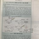 면역학 쥐에서 EAE(자가면역성 뇌수막염)를 유도한 실험 질문있습니다! 이미지