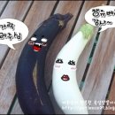 이동꽃마을 이미지