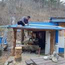 토골2 이미지
