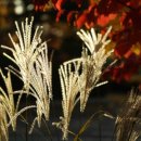 인물화드로잉 이미지