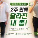 황금슈퍼 - 수성구 | 식이섬유 추천! 바쁜 일상 속 장 루틴을 시작한 다이톡스 에센셜 슈퍼그린후기