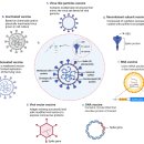 유바이오로직스 사의 EuCorVac-19 백신 자료 모음 입니다. 이미지