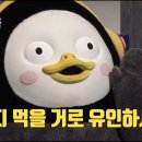 후후돈까스 네이버블로그