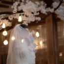 대구 밝은홀 본식 스냅 추천| 고민 끝에 선택한 존존픽쳐스 계약 후기 (+ 구성·가격)