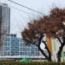 신반포로19길1-4_ 이미지