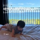 풀베이커리 - 천안시 서북구 삼은4길 18-4 | 강릉 세인트존스호텔 9개월 아기랑 호캉스 후기, 오션뷰부터 인피니티풀까지