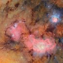 독일안경마당 이미지