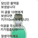소나무향기펜션 이미지