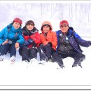 대관령 하루 이미지