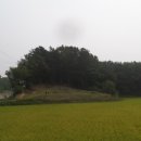 대한행정사 호남사무소 이미지