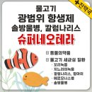 거제동물약국 네이버블로그