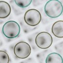 바른마음한의원 마곡발산점 이미지