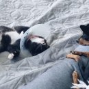 옥포로26길 이미지